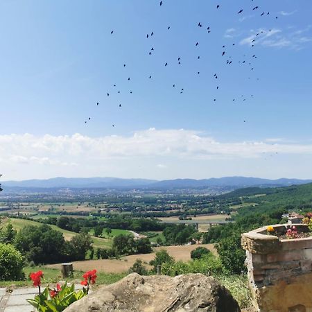 Al Podere del Nonno Romolo Sansepolcro Eksteriør billede