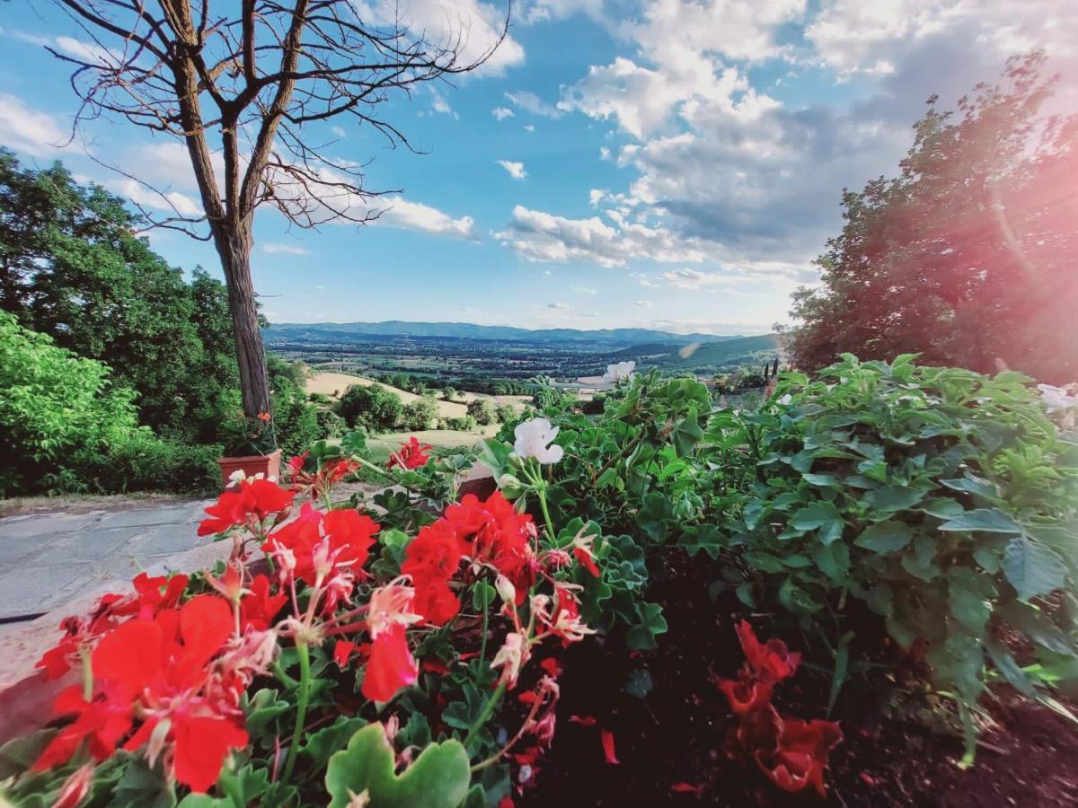 Al Podere del Nonno Romolo Sansepolcro Eksteriør billede