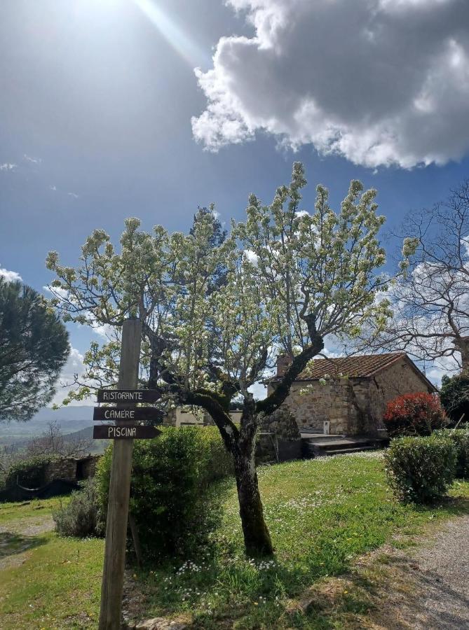 Al Podere del Nonno Romolo Sansepolcro Eksteriør billede