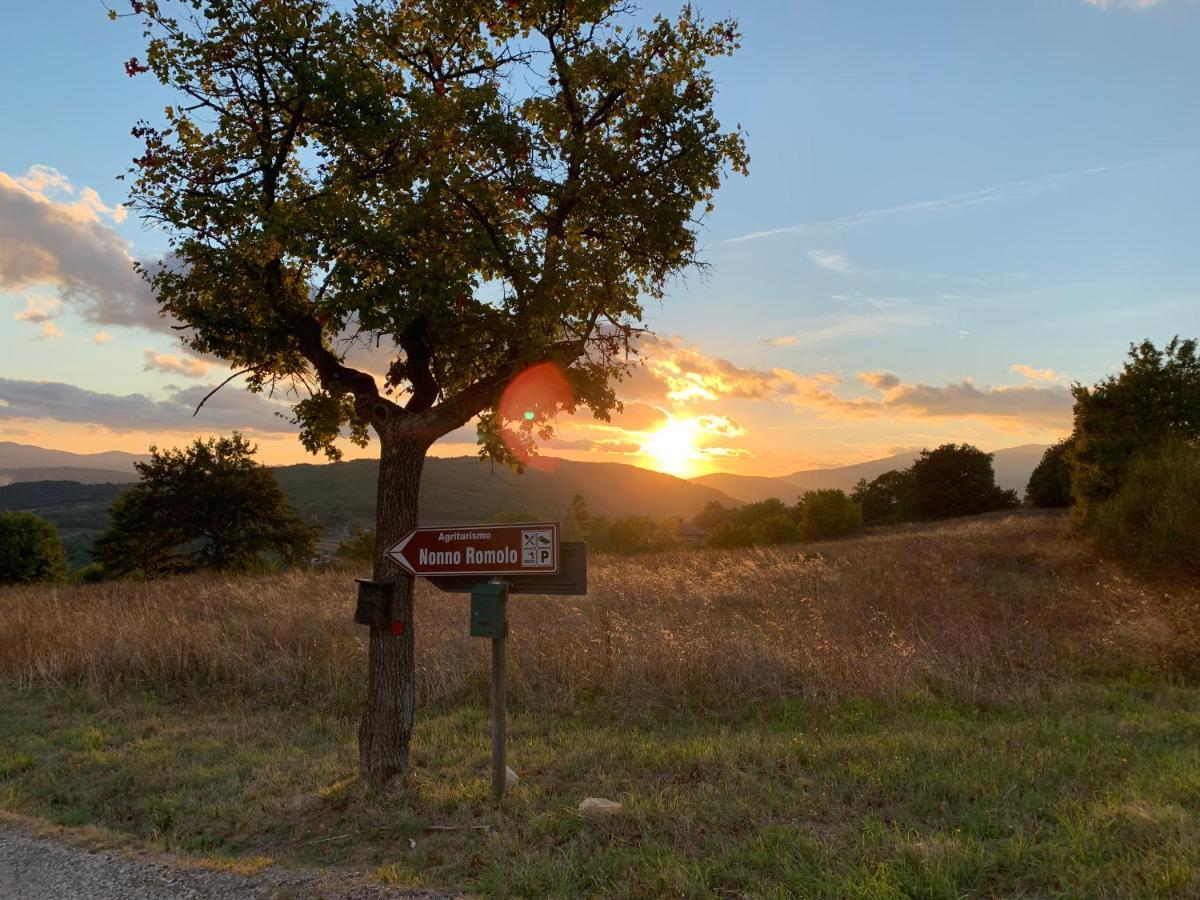 Al Podere del Nonno Romolo Sansepolcro Eksteriør billede
